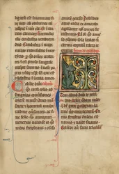 Un drago e due colombe in un albero